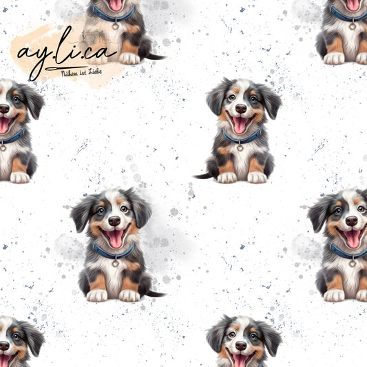 CUTE DOG exklusiv